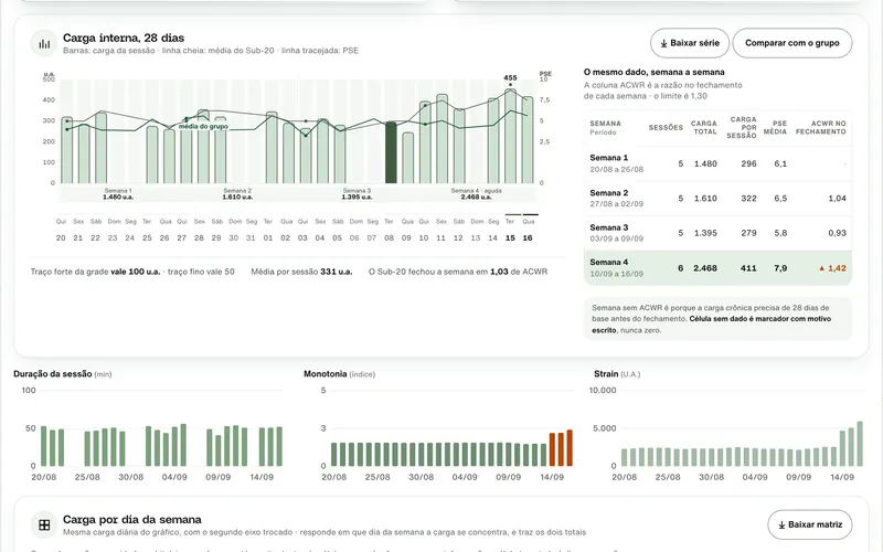 Carga interna em 28 dias: barras por sessão, linhas de média do grupo e de PSE, e os mesmos dados semana a semana com o ACWR no fechamento